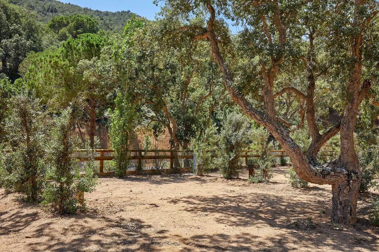 Campeggio Pola Giverola Camp Tossa de Mar